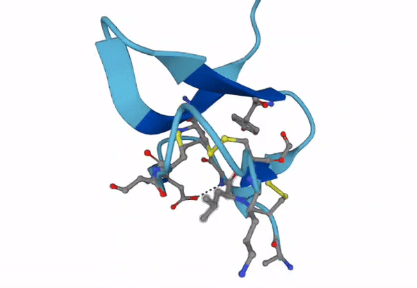 Phlotoxin structure generated by AlphaFold